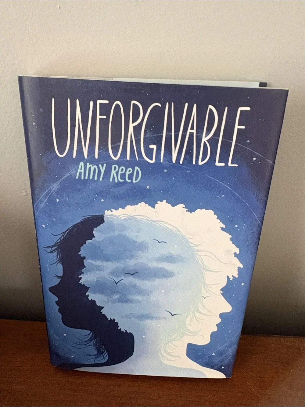 Unforgivable by Amy Reed